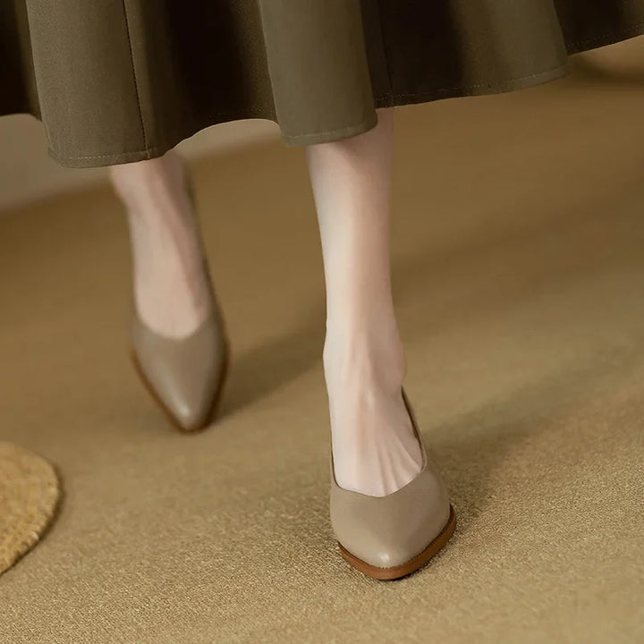 Professional brown women's block heel court shoes. Pointed toe slip-on design for smart casual.